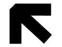 Rask Ai